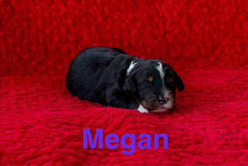 Megan_2_wks.jpeg