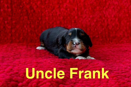 Uncle_Frank_2wks.jpeg